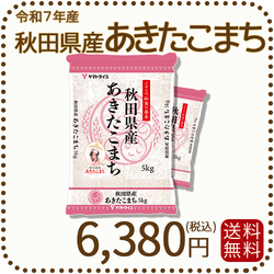 秋田県産あきたこまち 10kg (5kg×2袋) 令和7年産 ヤマトライス 本店