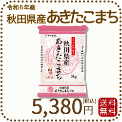 秋田県産あきたこまち 5kg（5kg×1袋）