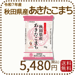 秋田県産あきたこまち 5kg（5kg×1袋）