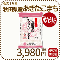 秋田県産あきたこまち 5kg（5kg×1袋）