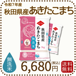 無洗米 秋田県産あきたこまち 10kg (5kg×2袋) 令和7年産 ※9/25最終発送