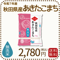 無洗米 秋田県産あきたこまち 2kg (2kg×1袋) 令和7年産