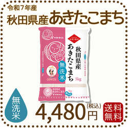 無洗米 秋田県産あきたこまち 5kg (5kg×1袋) 令和7年産