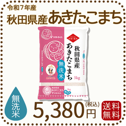 無洗米 秋田県産あきたこまち 5kg (5kg×1袋) 令和7年産