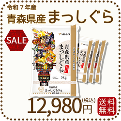 青森県産まっしぐら 20kg (5kg×4袋) 白米 令和7年産