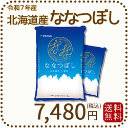 北海道産ななつぼし 10kg(5kg×2) 令和7年産 特A