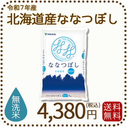 【無洗米】北海道産ななつぼし 5kg 令和7年産 特A