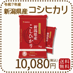 新潟県　コシヒカリ 10kg(5kg×2パック)送料込み 新潟県産 コシヒカリ 10kg(5kg×2) 令和7年産 ヤマトライス 本店