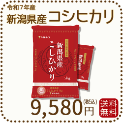 新潟県産 コシヒカリ 10kg(5kg×2) 令和7年産 ヤマトライス 本店