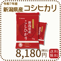 新潟県産 コシヒカリ 10kg(5kg×2) 令和7年産