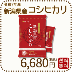 新潟県産 コシヒカリ 10kg(5kg×2) 令和7年産 ※9/25最終発送