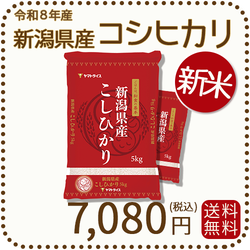 新米＞ 新潟県産 コシヒカリ 10kg(5kg×2) 令和8年産 ヤマトライス 本店