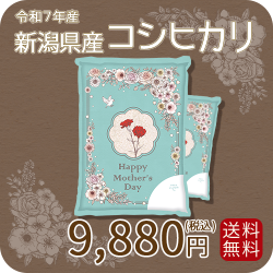 母の日デザイン 新潟県産コシヒカリ10kg