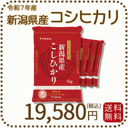 新潟県産 コシヒカリ 20kg (5kg×4) 令和7年産 ヤマトライス 本店