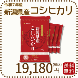 新潟県産 コシヒカリ 20kg (5kg×4) 令和7年産 ヤマトライス 本店