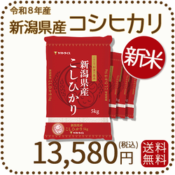 新米＞ 新潟県産 コシヒカリ 20kg (5kg×4) 令和8年産 ヤマトライス 本店