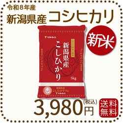 新米＞ 新潟県産 コシヒカリ 5kg 令和8年産 ヤマトライス 本店