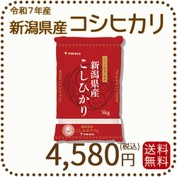 新潟県産 コシヒカリ 5kg 令和7年産