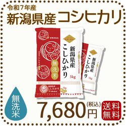 無洗米 新潟県産 コシヒカリ 10kg (5kg×2) 令和7年産