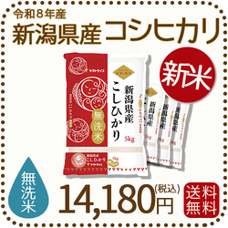 ＜新米＞ 無洗米 新潟県産 コシヒカリ 20kg (5kg×4) 令和8年産