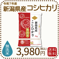 無洗米 新潟県産 コシヒカリ 5kg 令和7年産