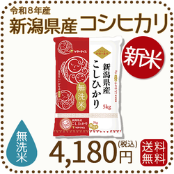 ＜新米＞ 無洗米 新潟県産 コシヒカリ 5kg 令和8年産