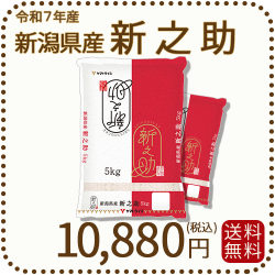 新潟県産新之助10kg