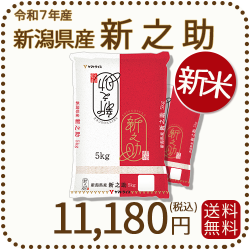 新潟県産新之助10kg