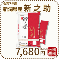 新潟県産 新之助 10kg(5kg×2) 令和7年産 白米