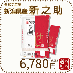 ＜7年産終売＞ 新潟県産 新之助 10kg(5kg×2) 令和7年産 白米