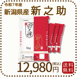 ＜7年産終売＞ 新潟県産 新之助 20kg(5kg×4) 令和7年産 白米