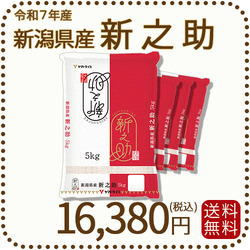 新潟県産 新之助 20kg(5kg×4) 令和7年産 白米