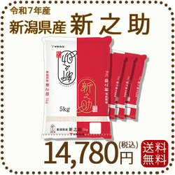 新潟県産 新之助 20kg(5kg×4) 令和7年産 白米