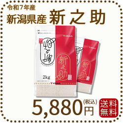 新潟県産新之助4kg