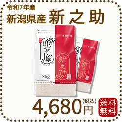 新潟県産新之助 4kg(2kg×2) 窒素充填 令和7年産 白米