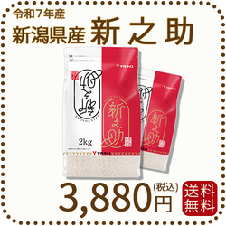 ＜7年産終売＞ 新潟県産新之助 4kg(2kg×2) 窒素充填 令和7年産 白米