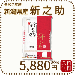 新潟県産新之助5kg