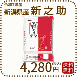 新潟県産 新之助 5kg 令和7年産 白米