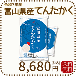 富山県産てんたかく 白米 10kg(5kg×2袋) 米 お米 令和7年産