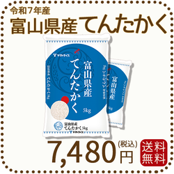 富山県産てんたかく 白米 10kg(5kg×2袋) 米 お米 令和7年産