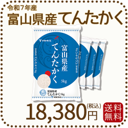 富山県産てんたかく 20kg(5kg×4)