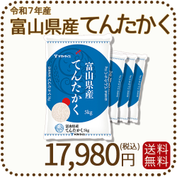 富山県産てんたかく20kg