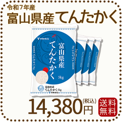 富山県産てんたかく 白米 20kg(5kg×4袋) 米 お米 令和7年産