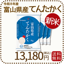＜新米＞ 富山県産てんたかく 白米 20kg(5kg×4袋) 米 お米 令和8年産