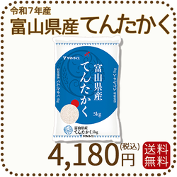 富山県産てんたかく 白米 5kg 米 お米 令和7年産