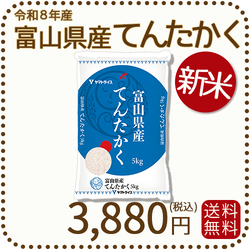 ＜新米＞ 富山県産てんたかく 白米 5kg 米 お米 令和8年産