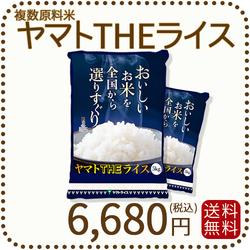 ヤマトTHEライス 国内産 複数原料米 10kg 5kg×2 白米