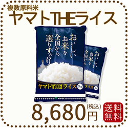 ヤマトTHEライス 国内産 複数原料米 10kg 5kg×2 白米