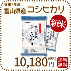 新米】富山県産コシヒカリ 白米 10kg(5kg×2袋) 令和7年産 ヤマト