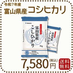 富山県産コシヒカリ 白米 10kg(5kg×2袋) 令和7年産 ヤマトライス 本店